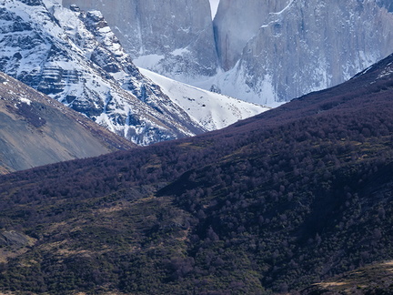 Foto: Andrés Fuentes