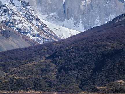 Foto: Andrés Fuentes