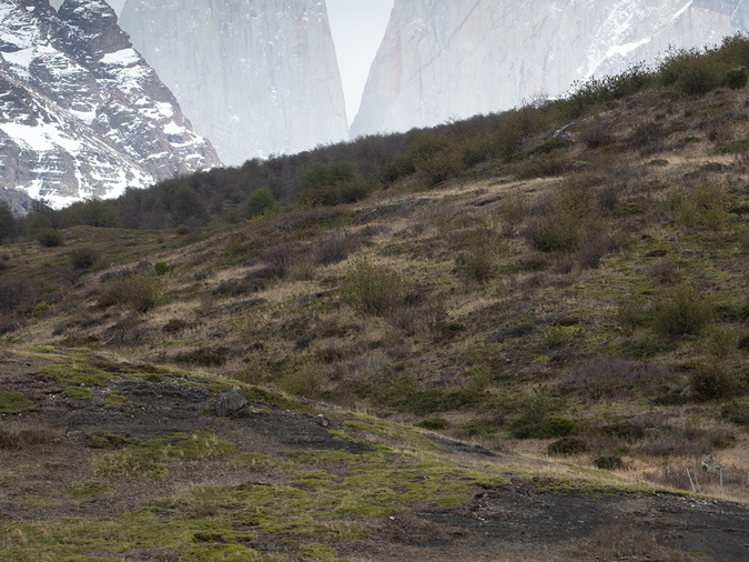 Foto: Romilio Pasmiño