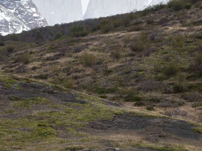 Foto: Romilio Pasmiño