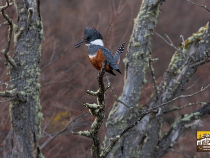 Foto: Romilio Pasmiño