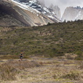 utp2209paai_DSC0015.jpg