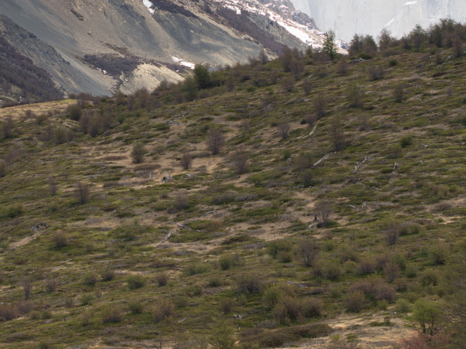 Foto: Patricia Ainol