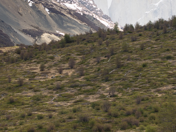 Foto: Patricia Ainol