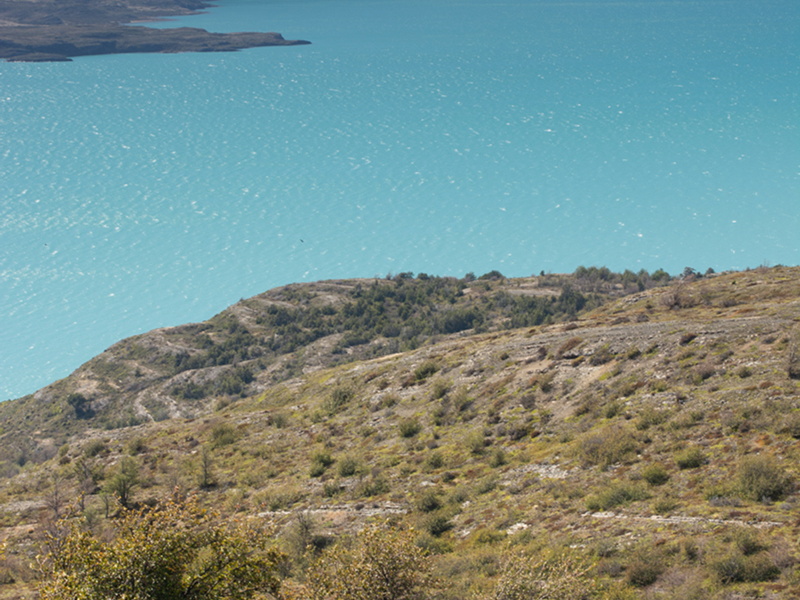 Foto: Patricia Ainol