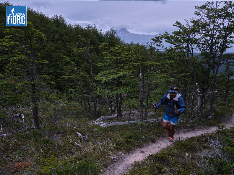 Foto: Andrés Fuentes