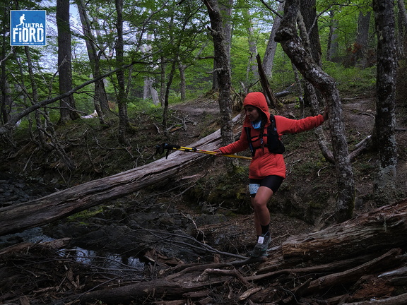 Foto: Andrés Fuentes