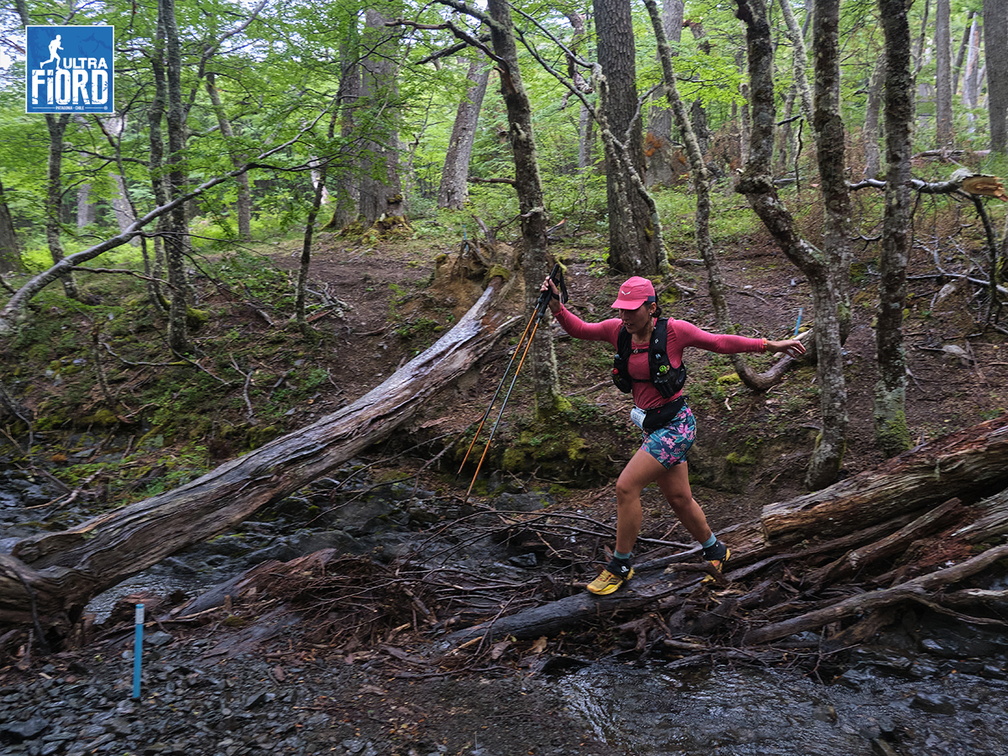 Foto: Andrés Fuentes