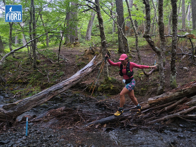 Foto: Andrés Fuentes