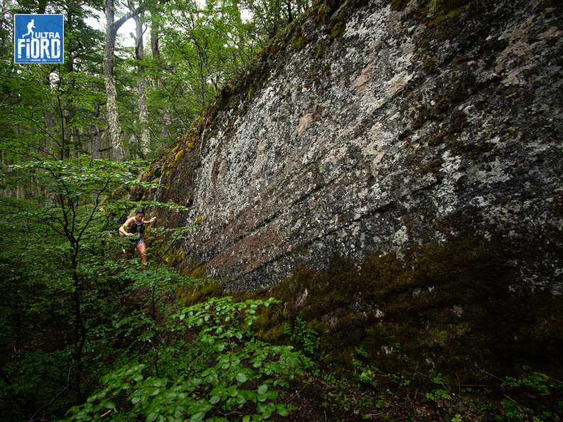 Foto: Patricia Ainol