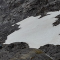 wutf2302gusaIMG_3647.jpg