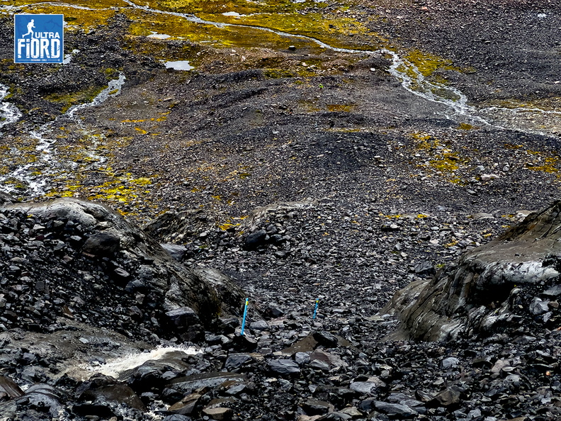 Foto: Guillermo Salgado