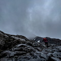 wutf2302gusaIMG_3678.jpg