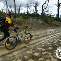 2009-0029.jpg
