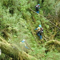 2011-0004.jpg