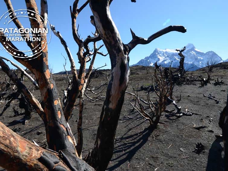 Foto: Patagonian International Marathon®