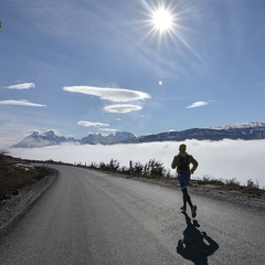 Foto: Guillermo Salgado