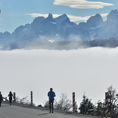 Foto: Guillermo Salgado