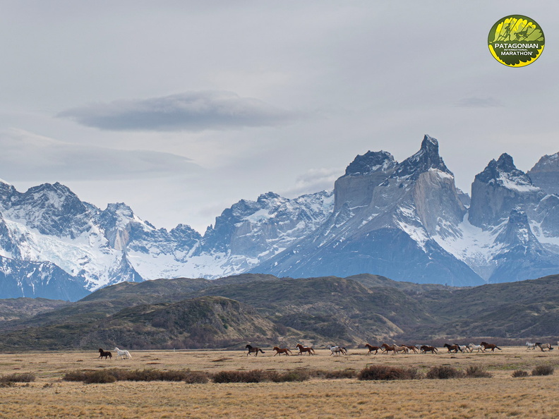 Foto: Cristobal Alvial