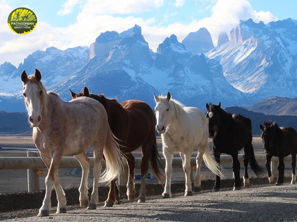 Foto: Stjepan Pavicic