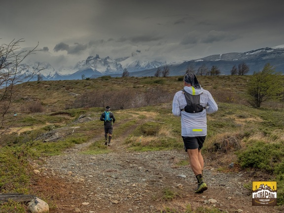 futp21090artr DSF0260