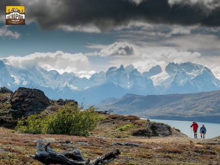 futp21090artr DSF0222