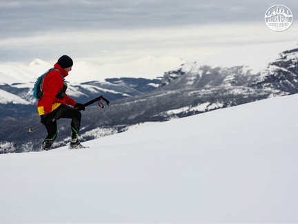 ultrapaine 0038 gv fb