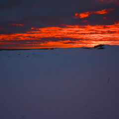 ultrapaine 0001 gv fb