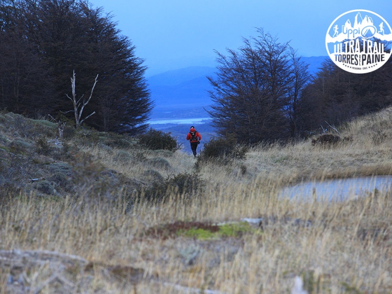 utp1409alga7818 face