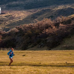 utp1409artr0688 face