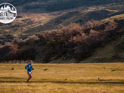 utp1409artr0688 face