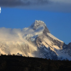 utp1409alga7829 face