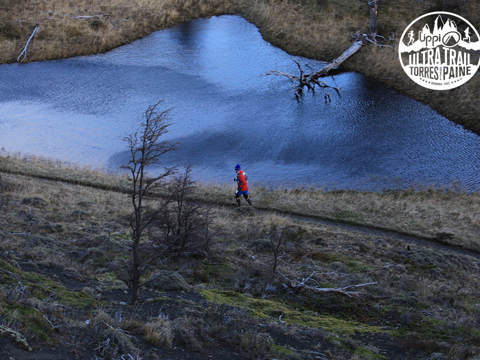 utp1409alga7839 face