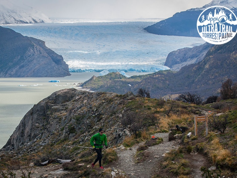 utp1409chmi4921 face