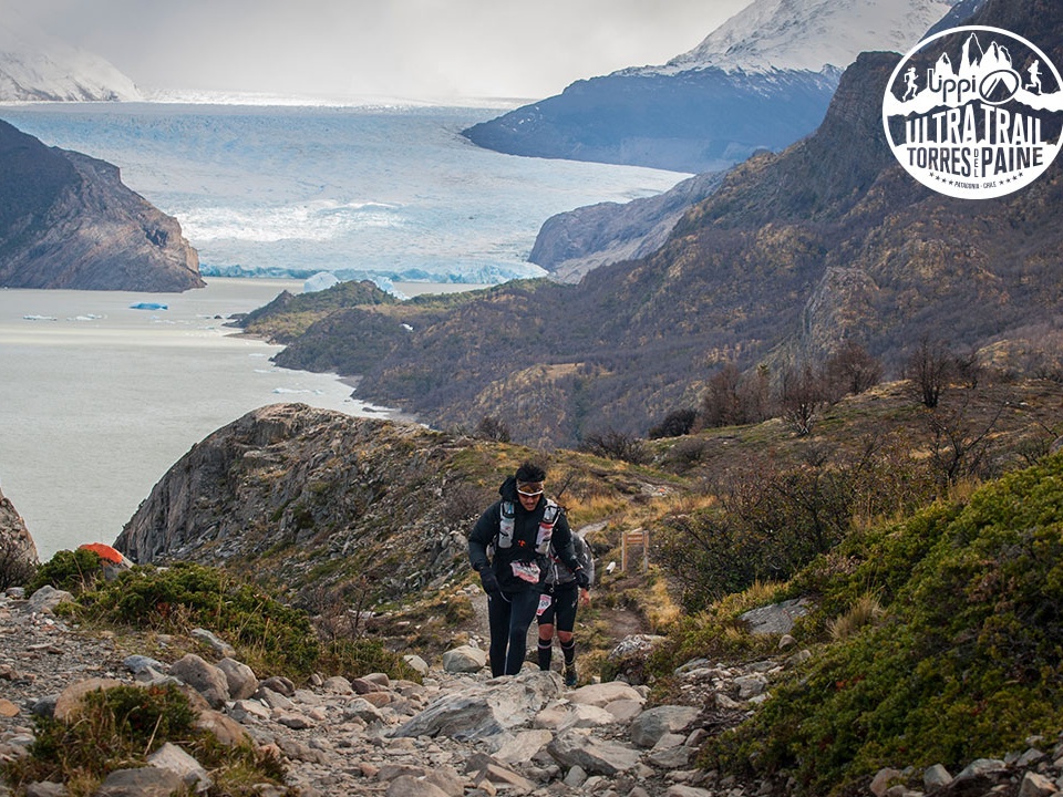 utp1409chmi4874 face