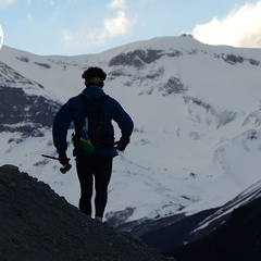 UTP1409paay1352 face