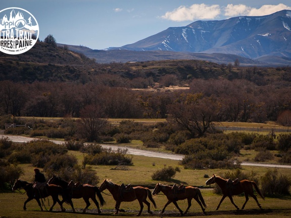 utp1409artr0405 face