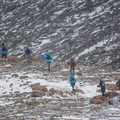 utf1604waal6974.jpg
