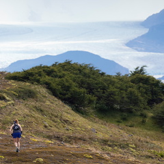 Hutf2202alga1S5A1915