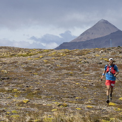 Hutf2202alga1S5A1955