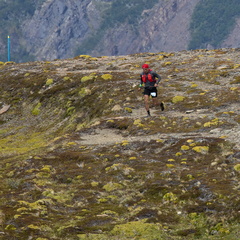 Hutf2202alga1S5A1986