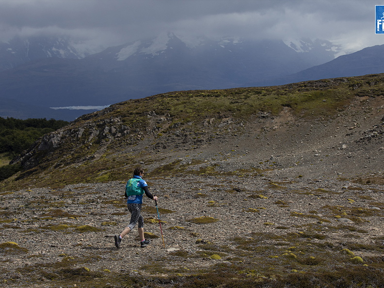 Hutf2202alga1S5A2113