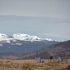 Foto: Marcelo Arriola