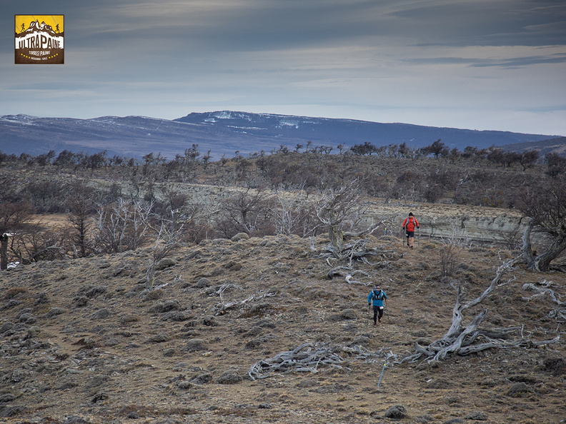 Foto: Alejandro Zoñez