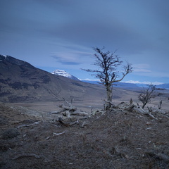 Foto: Alejandro Zoñez