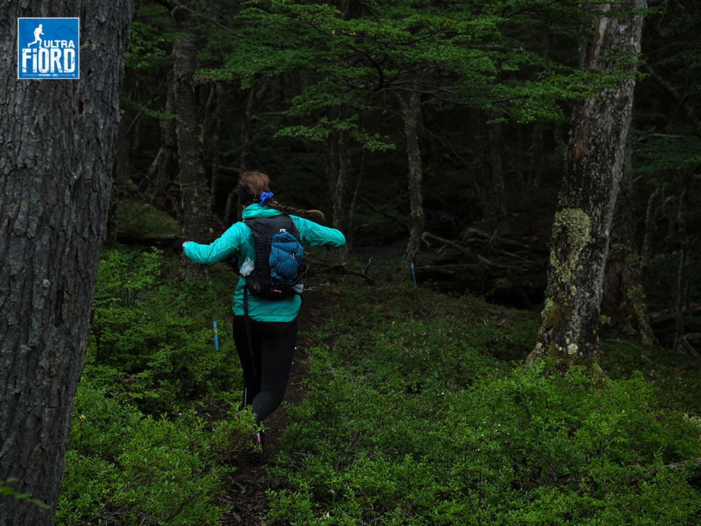 Foto: Andrés Fuentes