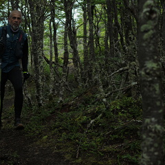 Foto: Andrés Fuentes