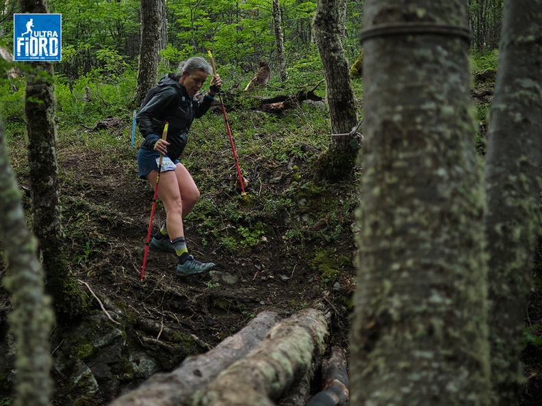 Foto: Andrés Fuentes