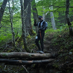 Foto: Andrés Fuentes