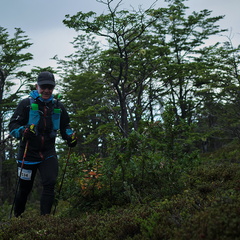 Foto: Andrés Fuentes